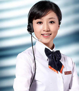 技術(shù)服務與咨詢